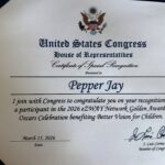 United States Congress House of Representatives Certificate of Special Recognition